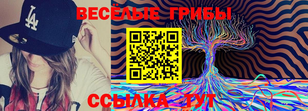 Галлюциногенные грибы Magic Shrooms Ростов Великий