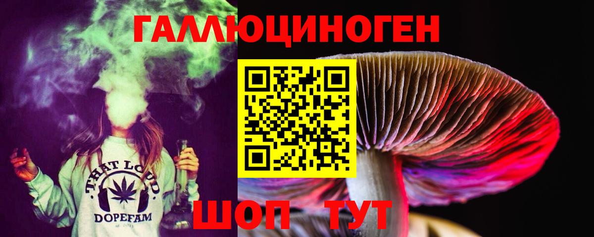 Галлюциногенные грибы Psilocybine cubensis  Галлюциногенные грибы Psilocybine cubensis  Вход с VPN  Ростов Великий 